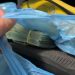 Dinheiro encontrado em mala trocada | Foto: Reprodução
