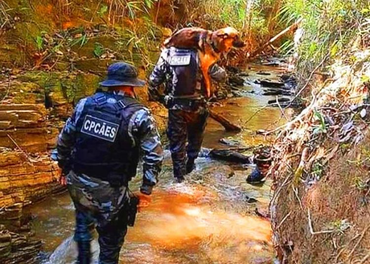 Viraliza vídeo de policial carregando cachorro ferido durante buscas a Lázaros | Foto: Divulgação / PMGO