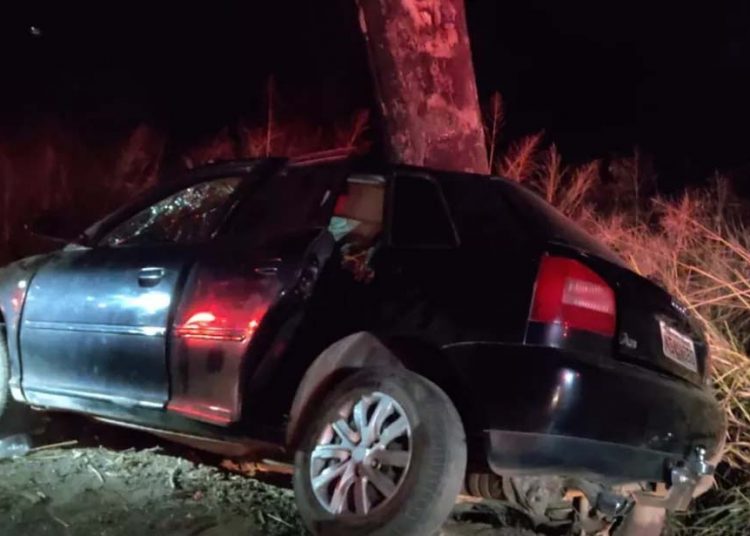 Veículo colidiu com o uma árvore | Foto: Divulgação/Corpo de Bombeiros
