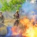 Bombeiros combatem queimadas | Foto: Divulgação/ CBMGO