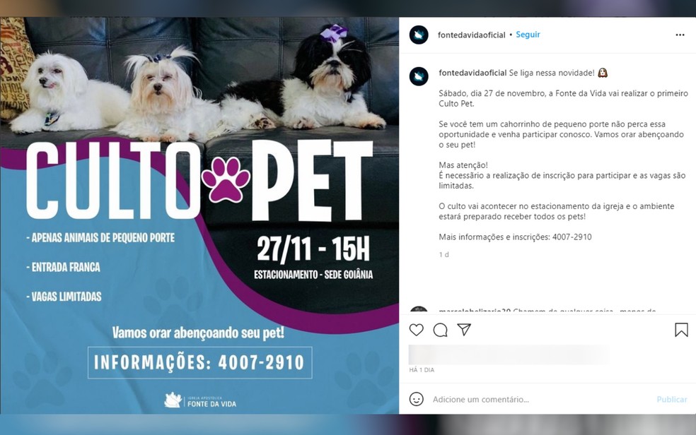Igreja evangélica de Goiânia anuncia "culto pet" e viraliza no Instagram - culto pet