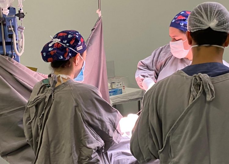 Médicos do HMAP realizam captação de órgãos | Foto: Divulgação
