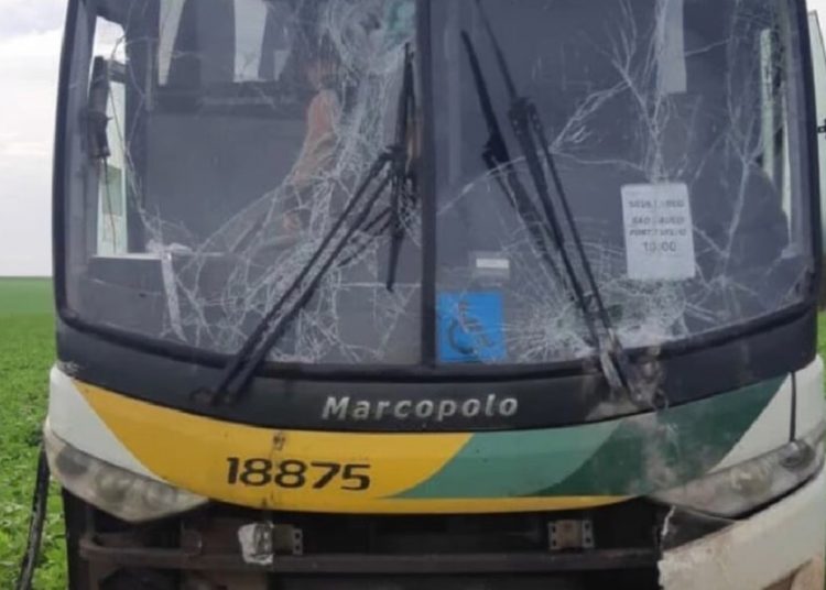 Nenhum passageiro ficou ferido | Foto: Reprodução/ TV Anhanguera