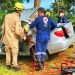 Pai e filha morrem e outras três pessoas ficam feridas em acidente de carro na GO-154, em Itaguari | Foto: Reprodução