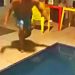 Jovem ficou tetraplégico ao pular na piscina em Quirinópolis (GO) | Foto: Reprodução