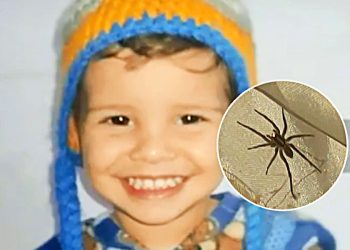 Miguel Alves Agapito, 2 anos, é internado após picada de aranha em Aparecida de Goiânia | Foto: Reprodução