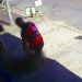Vídeo mostra jovem e idoso abandonando cadáver na rua em Aparecida de Goiânia | Foto: Reprodução
