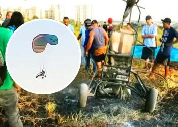 Piloto cai de ultraleve em Aparecida de Goiânia | Foto: Reprodução