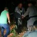 Vigilante é preso suspeito de matar a ex-mulher a facadas em Goiânia | Foto: Reprodução