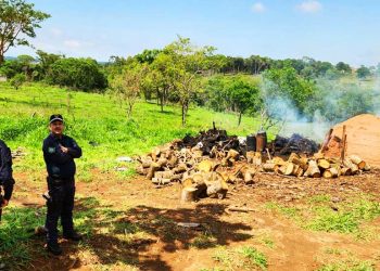 Possível carvoaria clandestina é investigada em Goiânia | Foto: José Alves / Folha Z