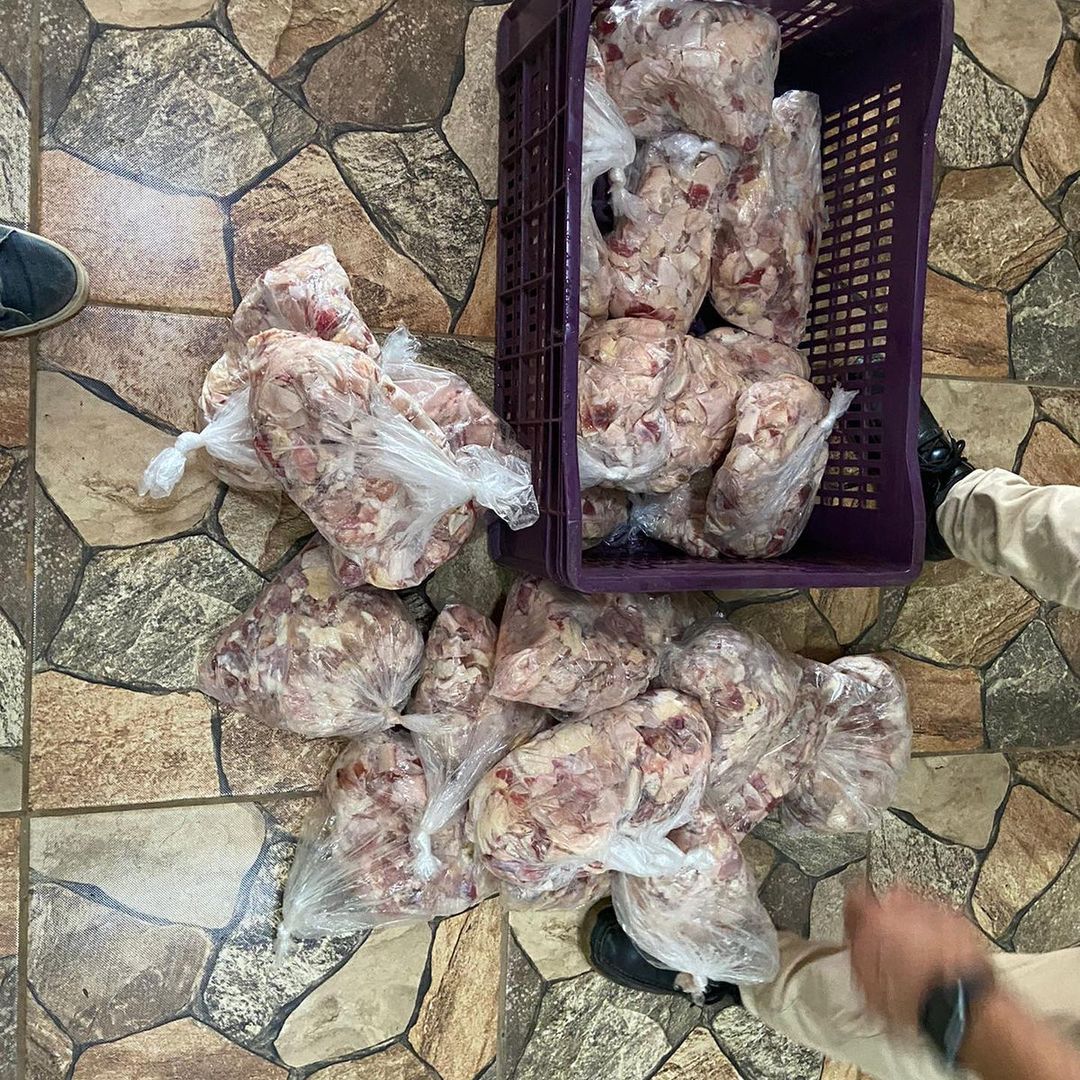 PC desmancha abatedouro clandestino que fornecia carne de cavalo para  restaurantes e supermercados de Aparecida de Goiânia