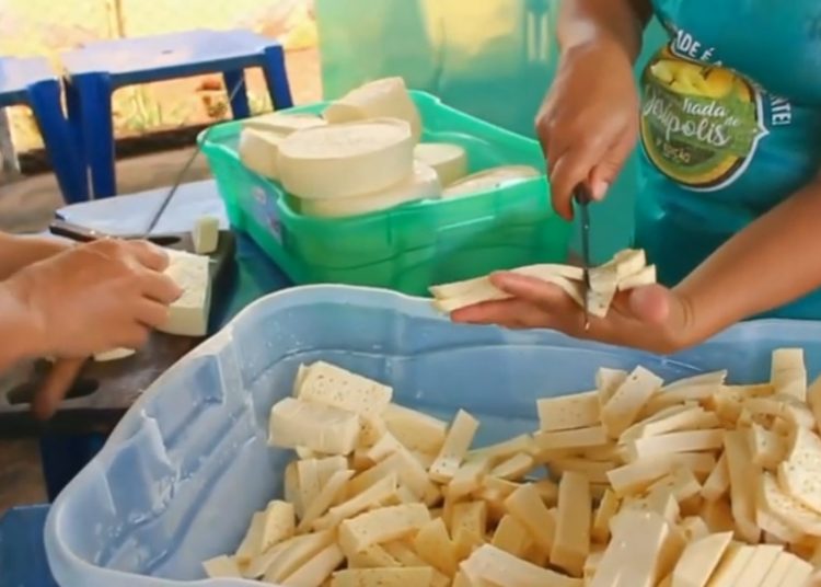 Cidade em Goiás distribui 20 mil pamonhas de graça