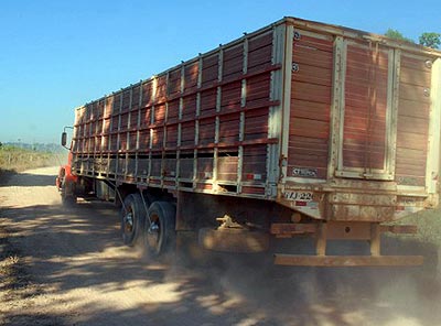 Caminhão boiadeiro com carga viva terá tráfego livre | Agência Brasil