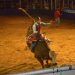 Rodeio em Aparecida de Goiânia | Foto: Prefeitura de Aparecida de Goiânia