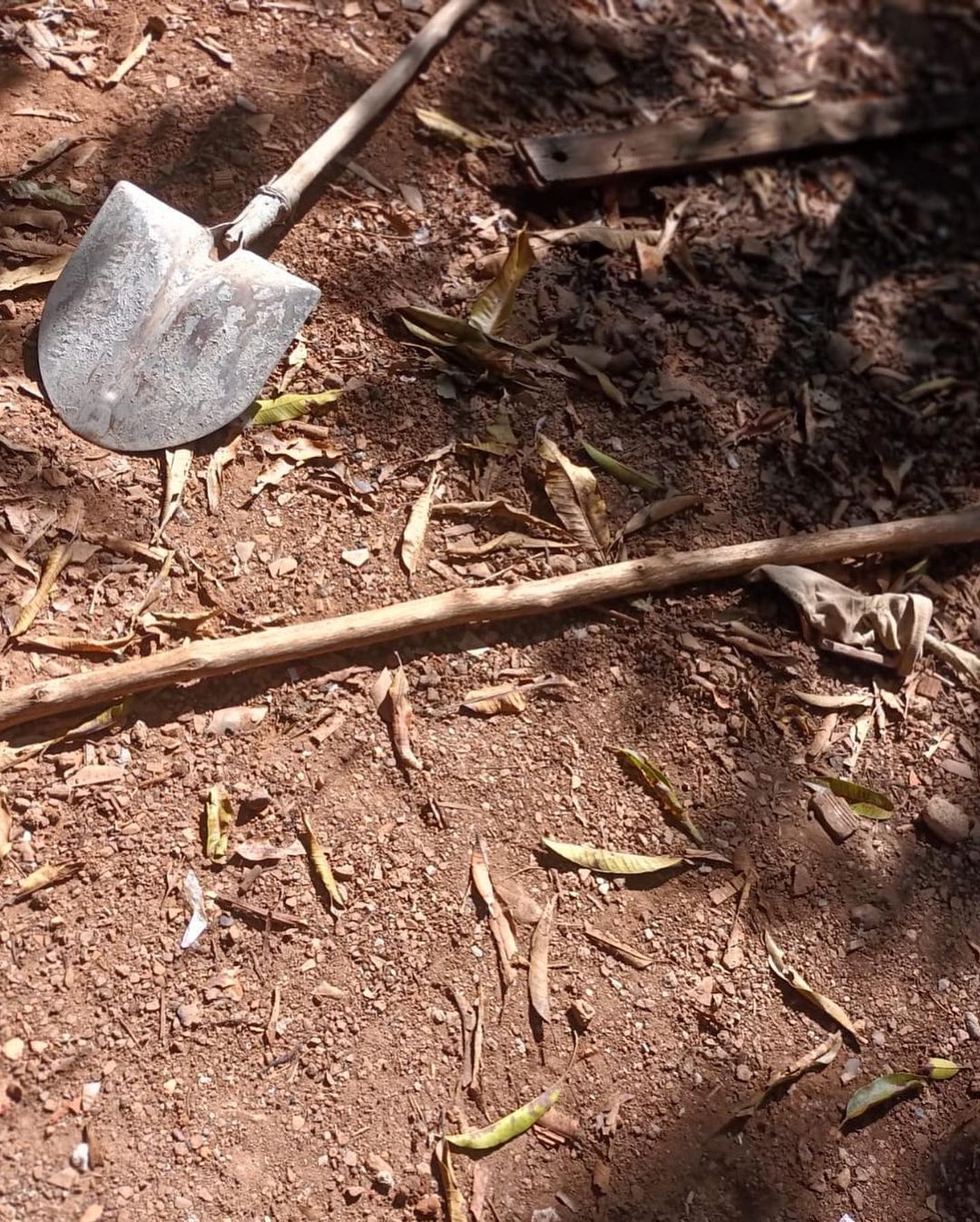 Suspeito utilizou pau, pedra e pá para agredir a vítima | Foto: Divulgação/CPE