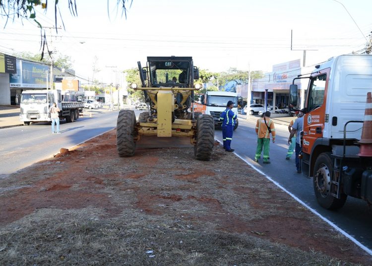CAU/GO questiona retirada de 132 árvores durante obras na avenida Rio Verde
