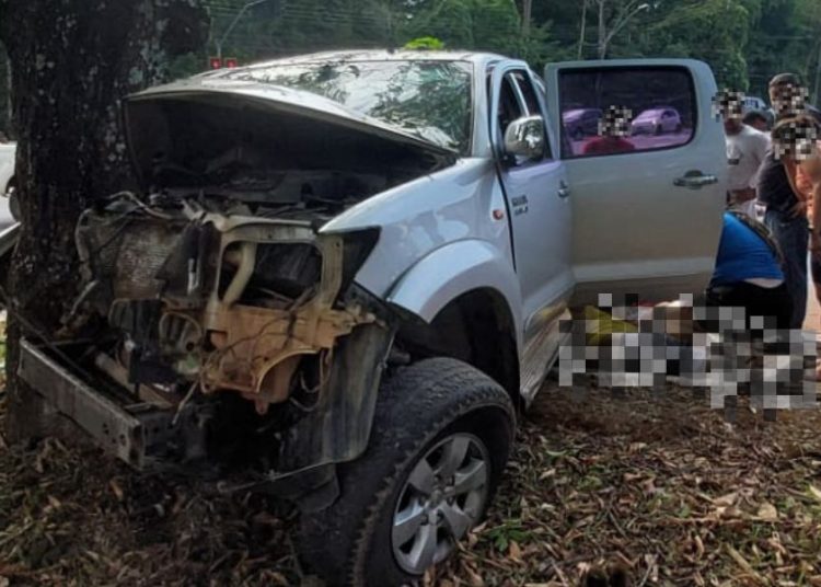 Motorista perde controle de caminhonete e bate em árvore no Jardim Botânico