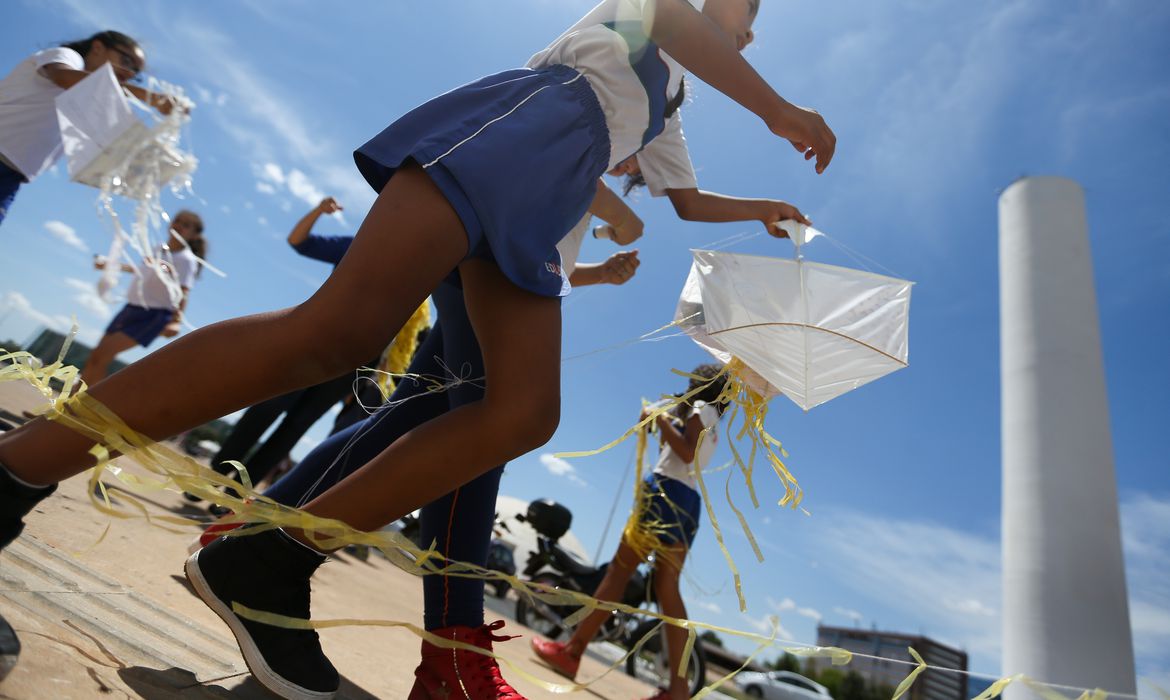 As linhas de nylon e as feitas de barbante são as utilizadas para empinar pipa | Foto: Marcelo Camargo/Agência Brasil