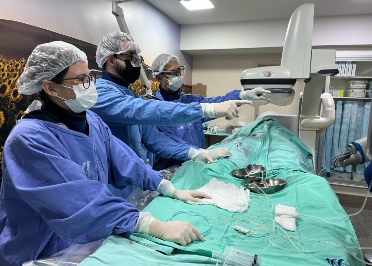 Equipe de neurocirurgia durante procedimento | Foto: Idtech