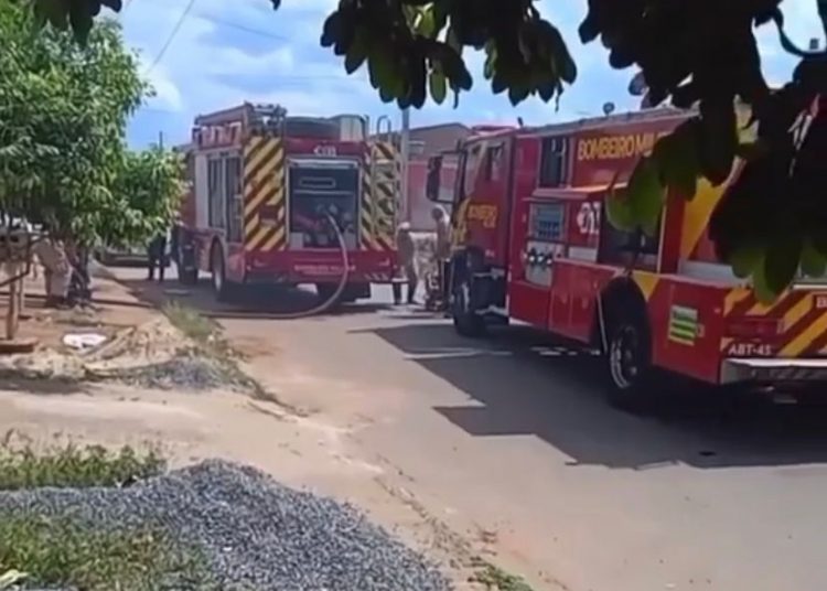 Militares chegaram quando incêndio já estava avançado | Foto: Reprodução