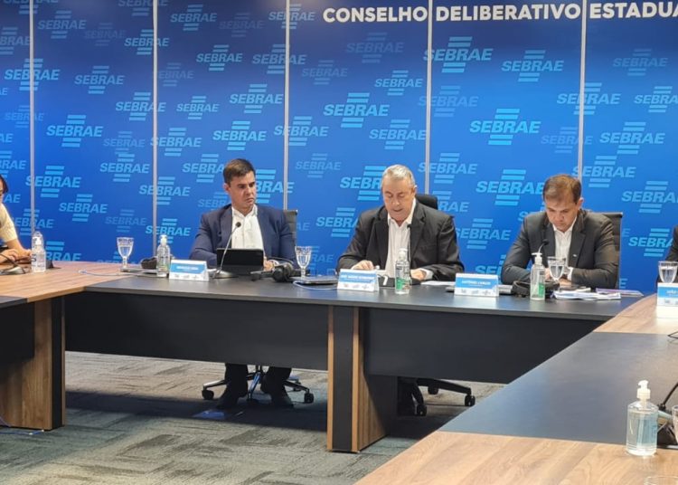 Ao longo do ano, o Sebrae ultrapassou o número de 541 mil atendimentos em todo o Estado | Foto: Divulgação/Sebrae Goiás