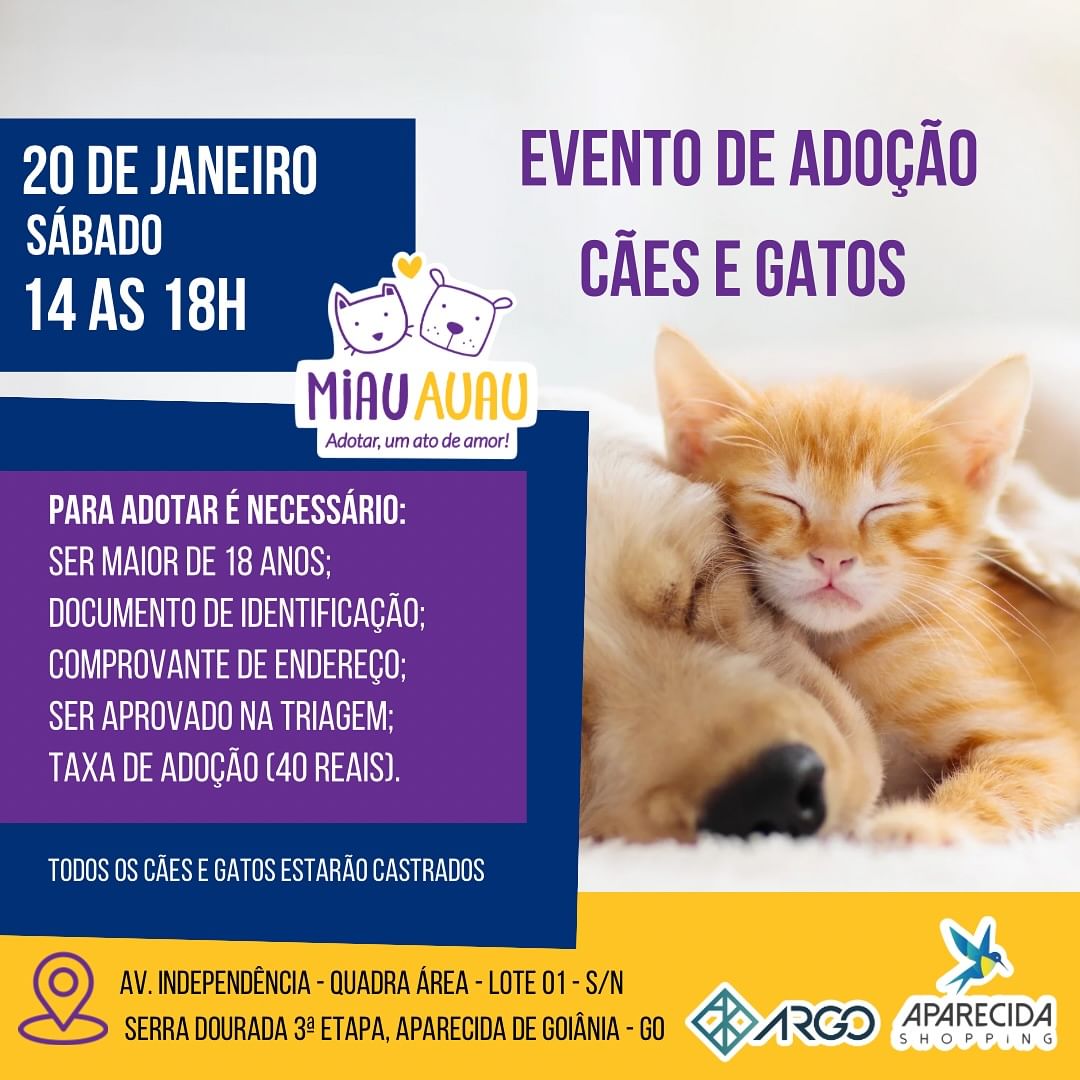 Card de informações do evento | Foto: Divulgação