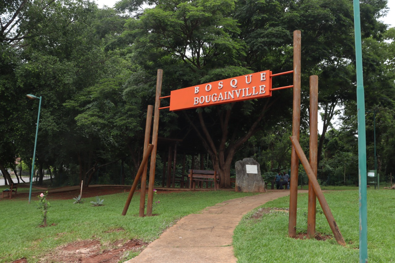 Bosque Bougainville | Foto: Divulgação/Comurg