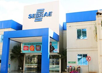 Sebrae terá processo seletivo com vagas em Aparecida e Goiânia; CONFIRA valor da bolsa e como se inscrever