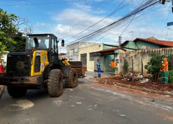 Aumento expressivo na quantidade de lixo e entulhos descartados de forma irregular preocupa a administração pública | Foto: Comurg