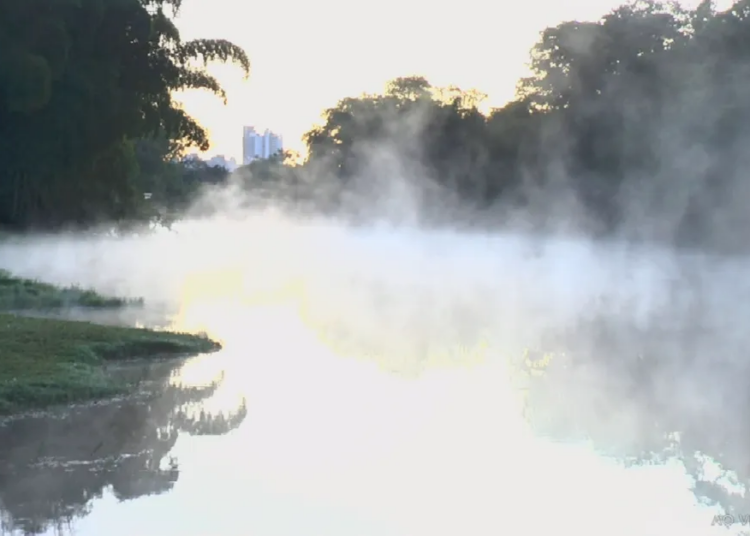 Neblina sobre o Jardim Botânico, em Goiânia | Foto: Reprodução/TV Anhanguera