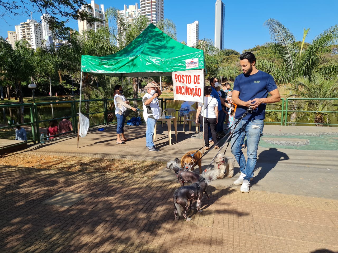 Campanha Antirrábica em Goiânia | Foto: Divulgação