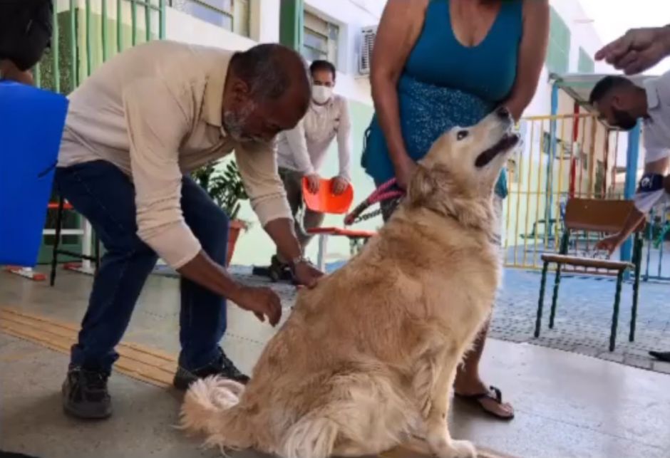 Campanha Antirrábica em Goiânia | Foto: Divulgação