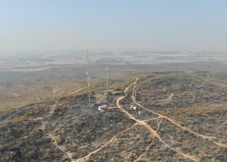 pessoas respondem a 1 inquérito por causar incêndio que atingiu 30 hectares da vegetação da Serra das Areias, no setor Comendador Walmor, em Aparecida de Goiânia