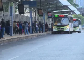 Goiânia e Aparecida terão transporte público gratuito no domingo de eleições