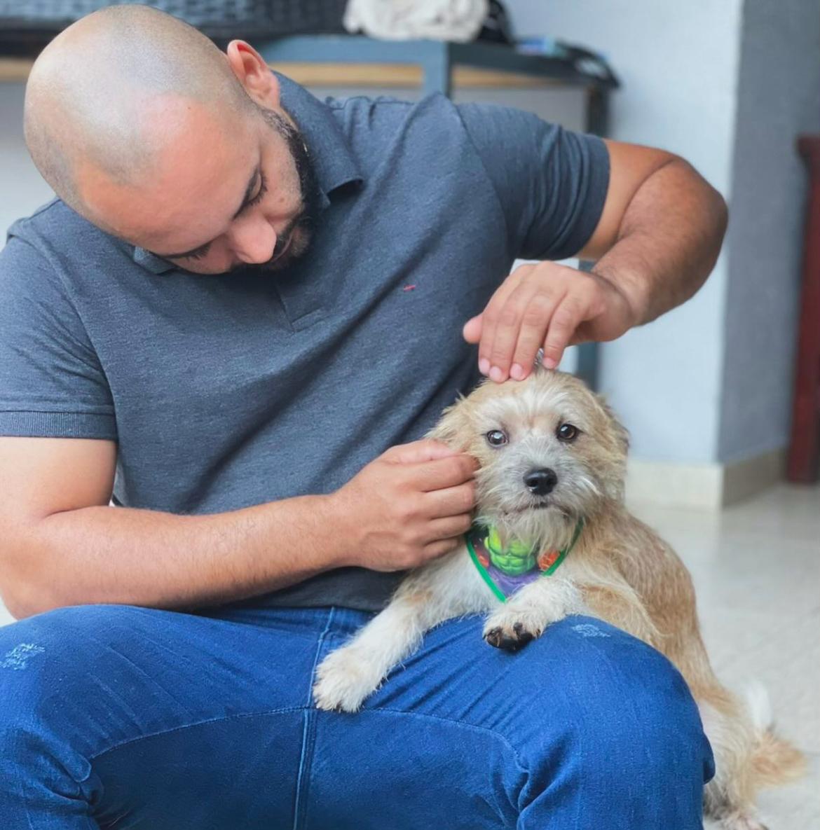 Vacinação gratuita, adoção de pets e castração: Mutirão Pet acontece em Aparecida de Goiânia no dia 31