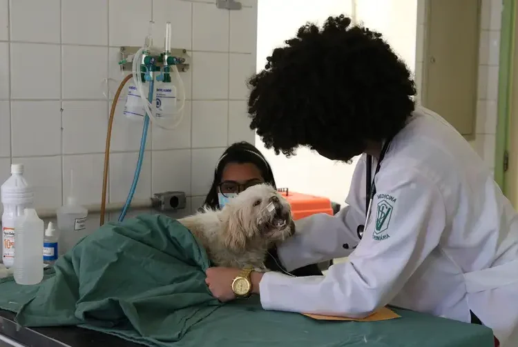 Aparecida inaugura Centro de Castração GRATUITO e anuncia abrigo temporário para animais