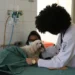 Aparecida inaugura Centro de Castração GRATUITO e anuncia abrigo temporário para animais