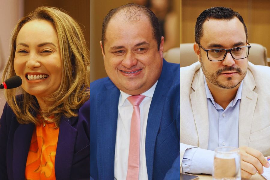 Silvye, Charles e Karlos: Aparecida discute homenagens a deputados com diferentes pesos eleitorais