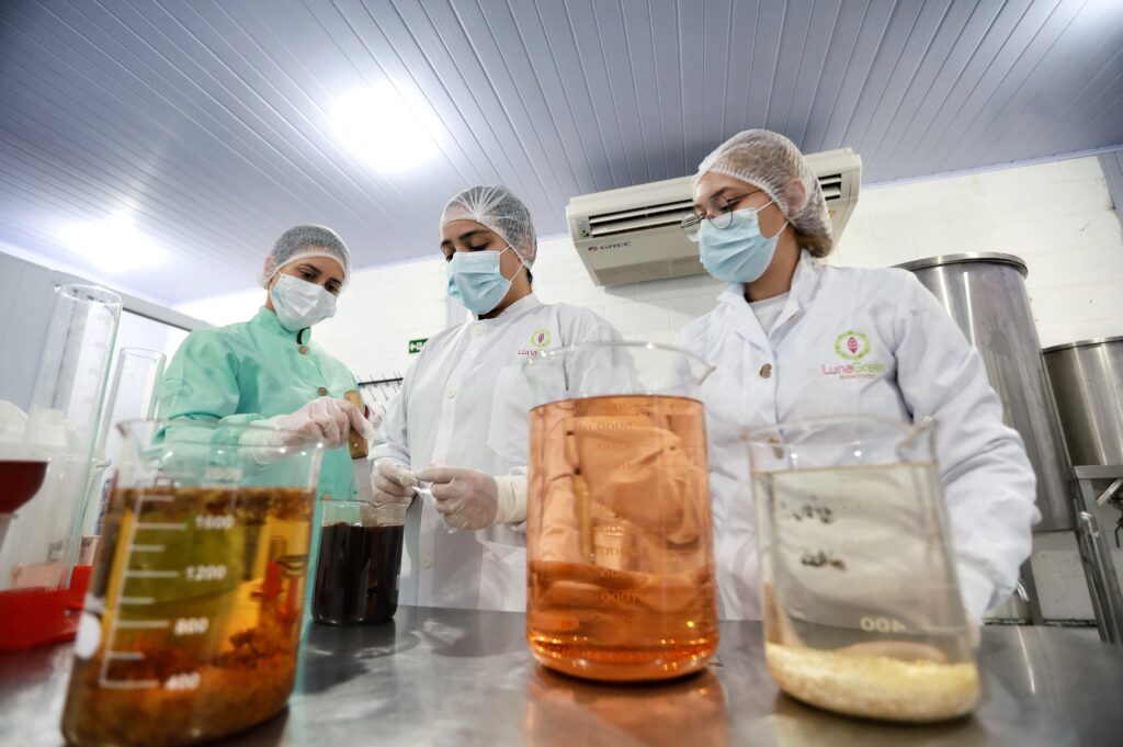 A startup transforma resíduos agroindustriais e plantas cultiváveis em insumos de alto desempenho para cosméticos, gerando valor à cadeia produtiva e benefícios ambientais | Foto: Ruber Couto