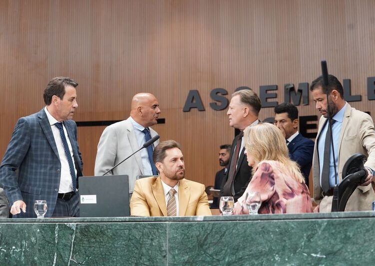 Levantamento mostra perfil dos mandatos na Alego; apenas um deputado tenta o 7º
