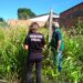 Goiânia: proprietário de lote baldio tem 8 dias para limpar ou será multado