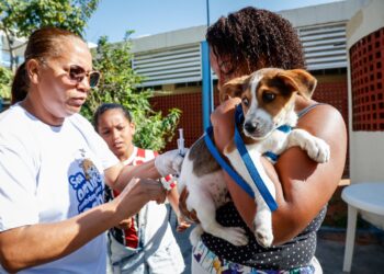 Vacinação será realizada em 93 postos (Foto:Edu Kapps / SMS/Rio)