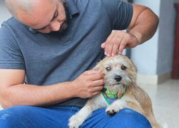Vereador sugere patrulha especializada para atender denúncias de maus-tratos a animais (Foto: Divulgação/arquivo pessoal)