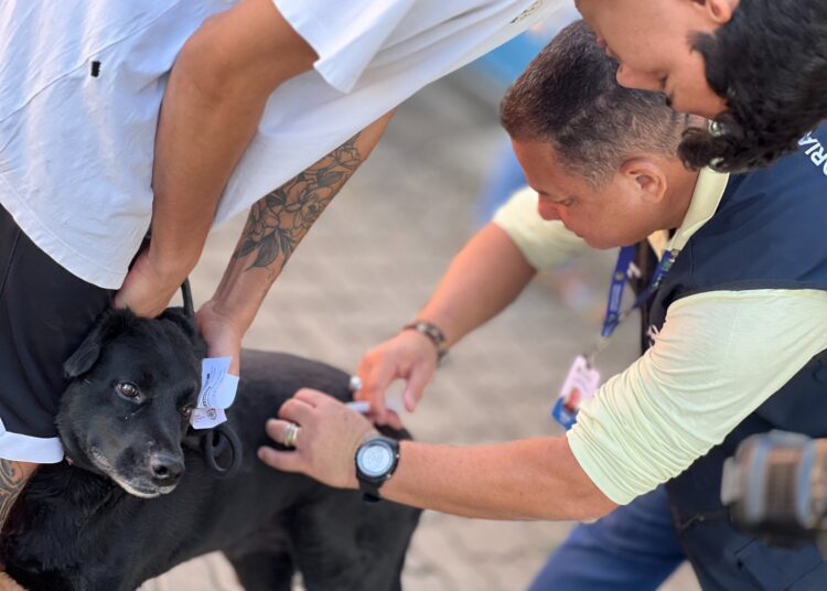 Vacinação em Goiânia | Foto: Divulgação