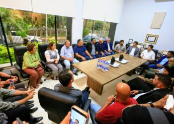 Daniel Vilela durante encontro na Câmara de Trindade | Foto: Divulgação