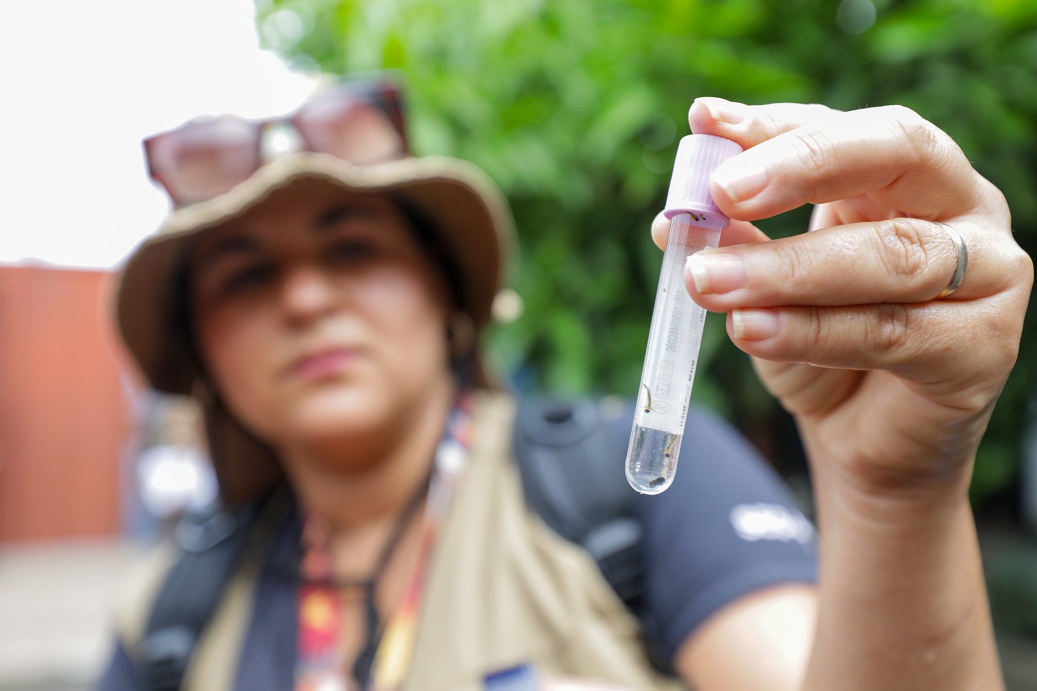 Aparecida de Goiânia dengue 