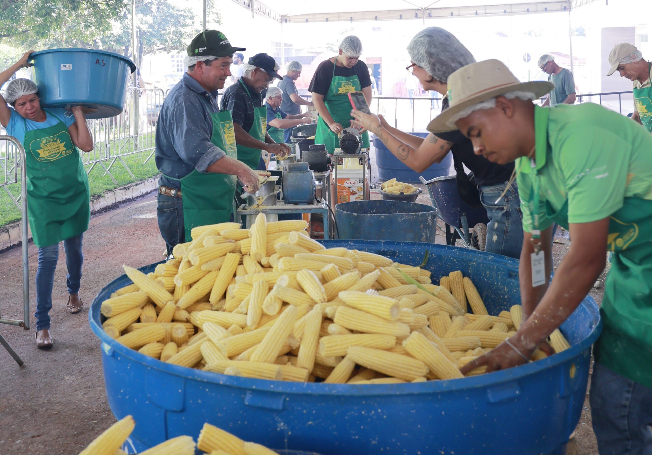 Dia da Pamonha terá distribuição gratuita em Goiânia: veja onde