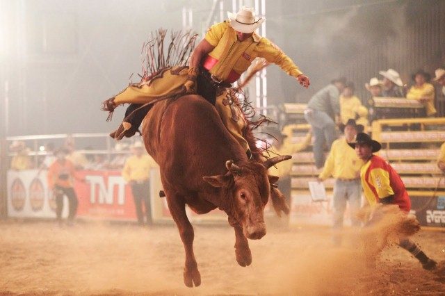 Rodeio Abadia de Goiás Shows 