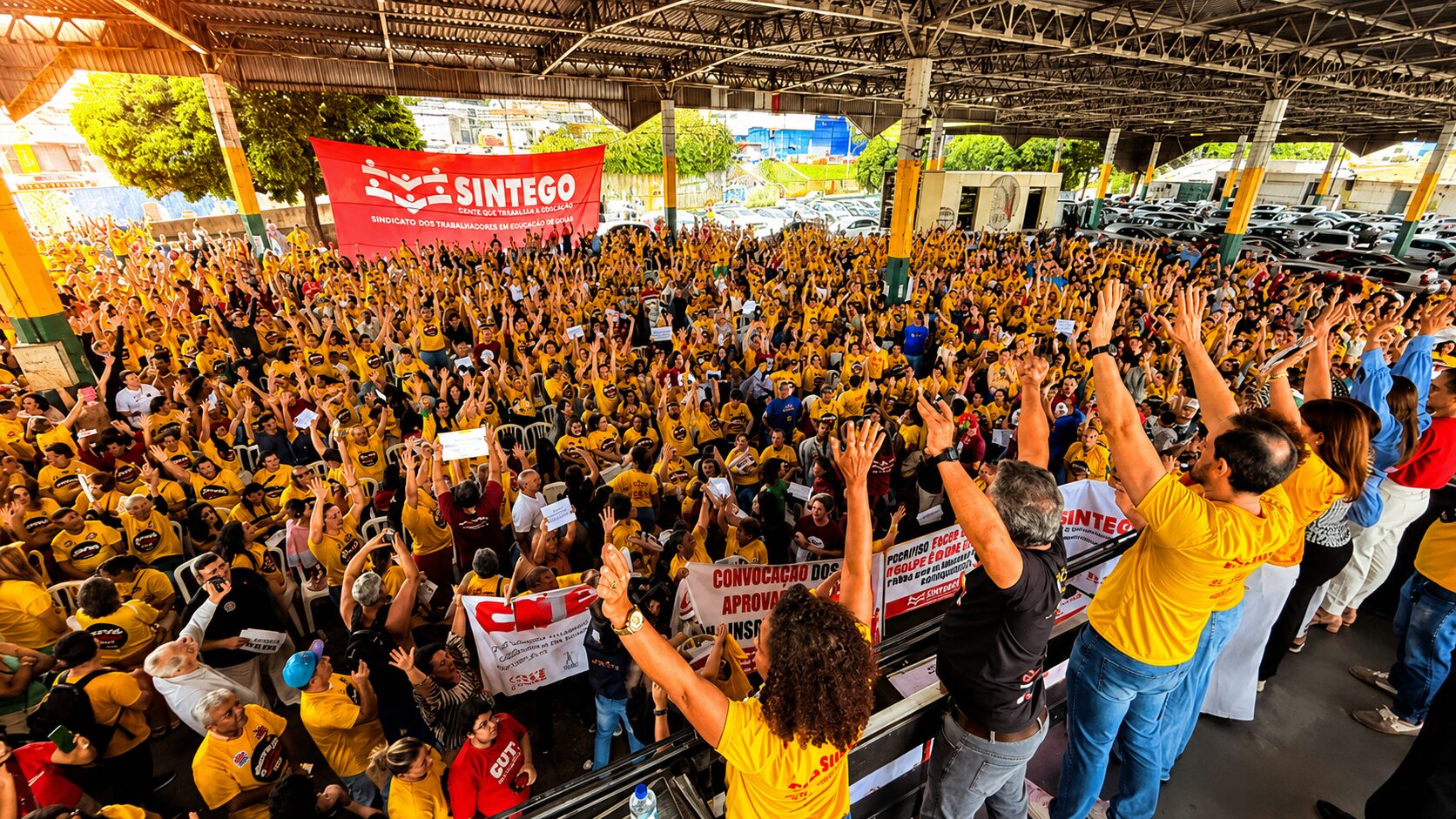 fim greve educação goiânia