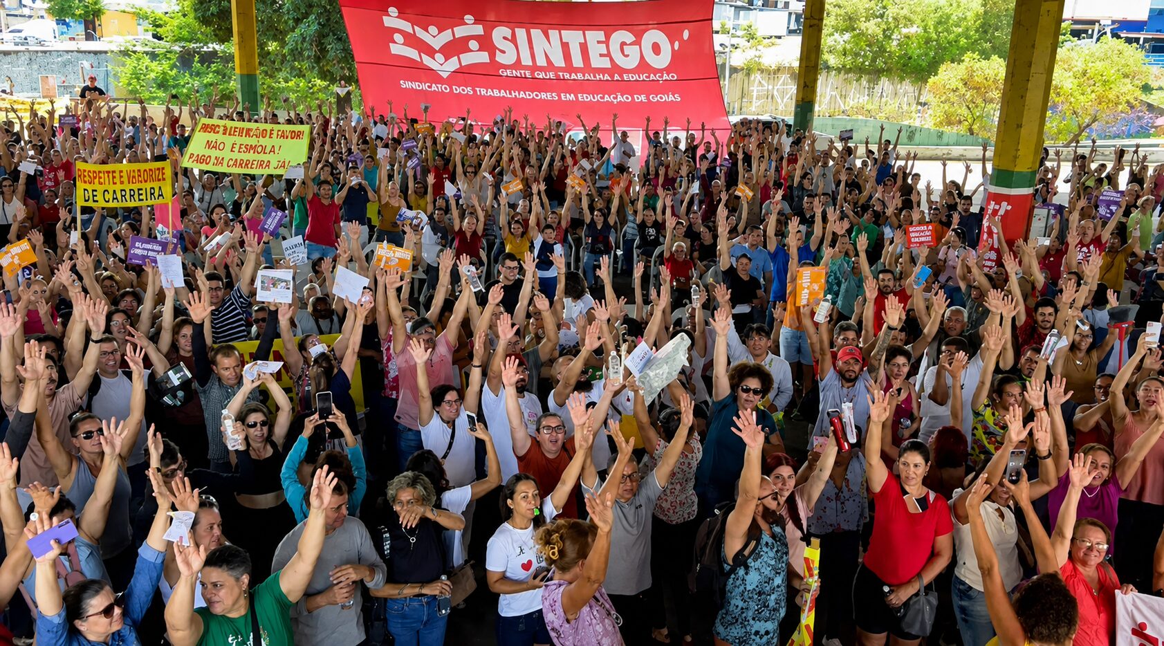 Greve Educação Goiânia